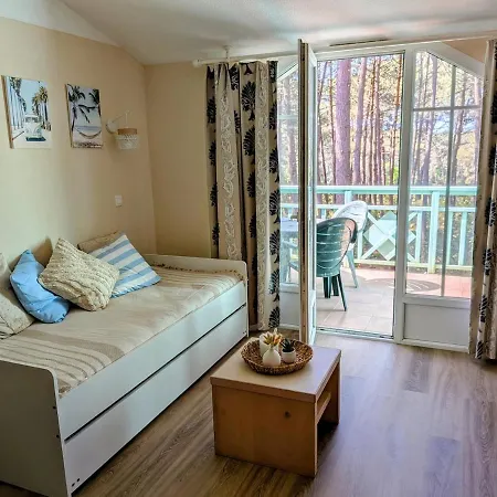 Sejour Cozy Et Calme Avec Piscine A Ocean Apartmán